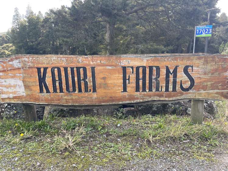 251 Apotu Road Kauri_11