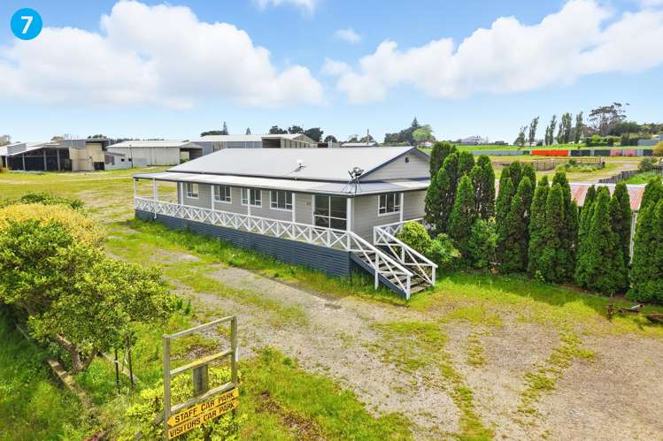 34 Oturi Road Waverley_28