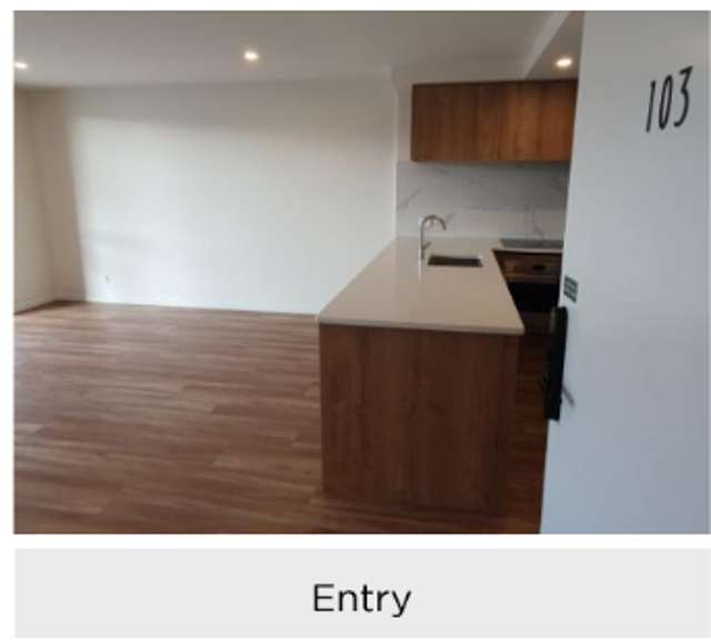 393 Ormiston Road Flat Bush_1