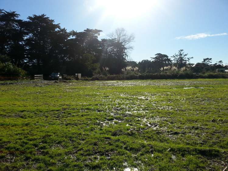 State Highway 12 Matakohe_5