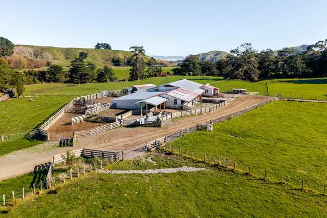 99 Surreydale Road Pahiatua_1