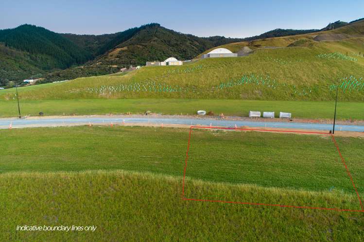 Bay View Road Atawhai_7