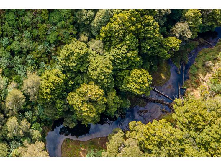 126a Montrose Road Kerikeri_25