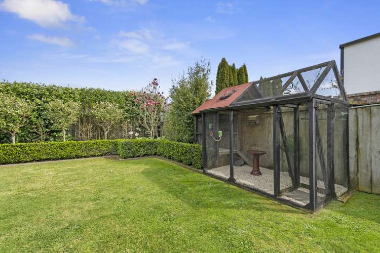 23 Seales Road Morrinsville_32