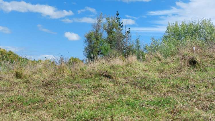 Wearmouth Road Paparoa_16