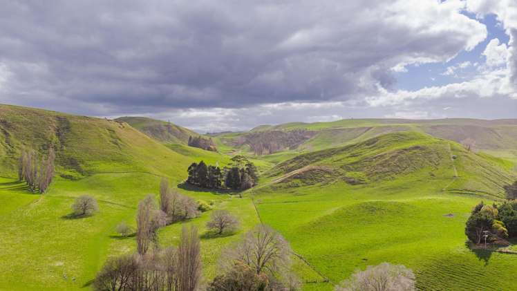 352 Hatuma Road Waipukurau and Surrounds_7