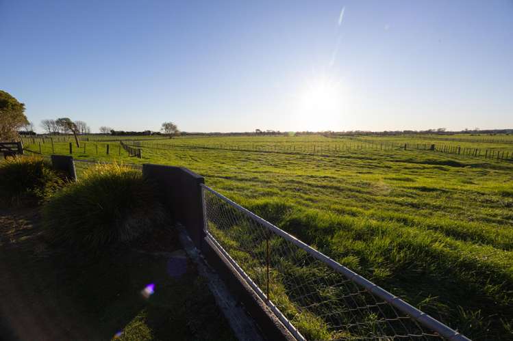 1059 Camerons Line Feilding_21