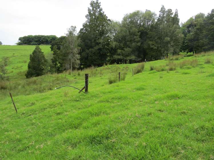 Lot 4 Taylor Road Taipa_12