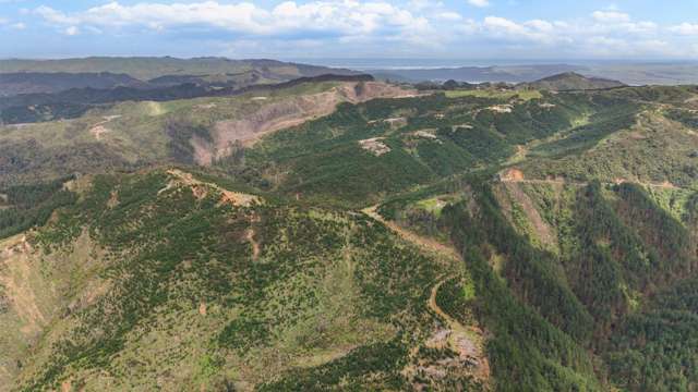 937 Klondyke Road Port Waikato_2