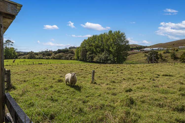 77 Pataua North Road Whareora_34