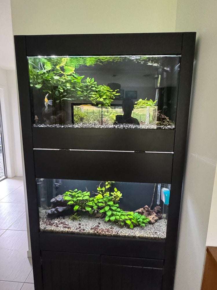 Address withheld Glenbervie_6