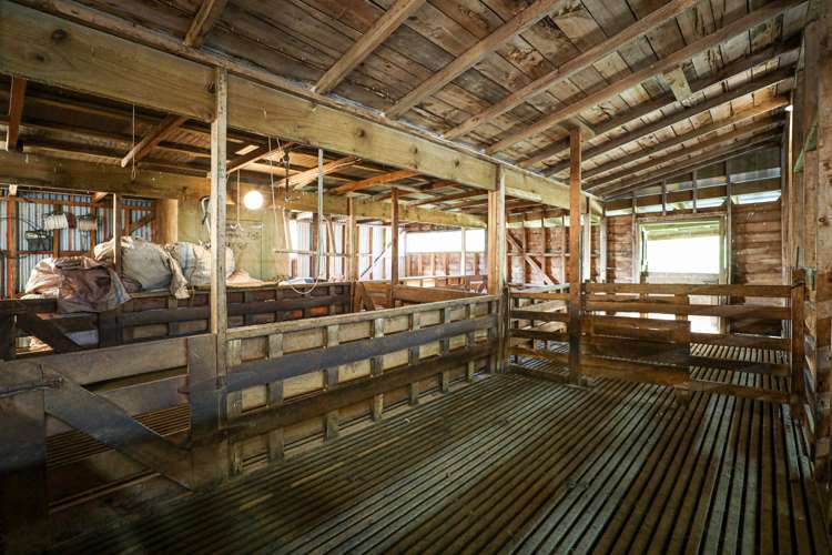 292 Aramahoe Road Taumarunui_19