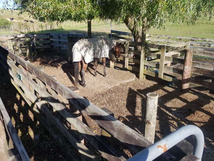 39 Serenity Lane Koputaroa_22