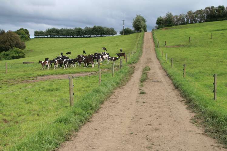 178 Omahuru Road Okaiawa_20