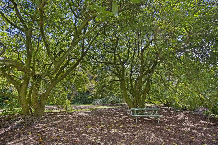 21 Rea Road Hauraki Surrounds_22