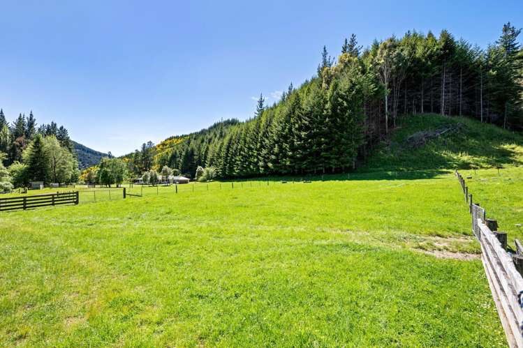 1005 Onamalutu Road Onamalutu_30