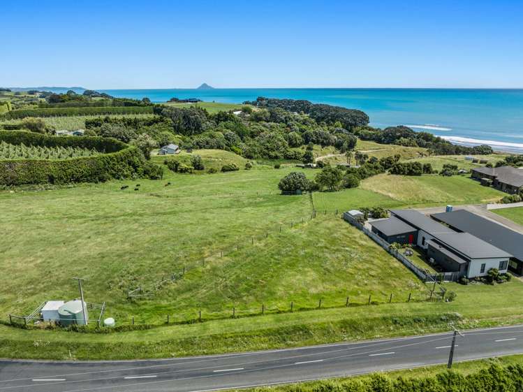 40 Paerata Ridge Road Waiotahe_5