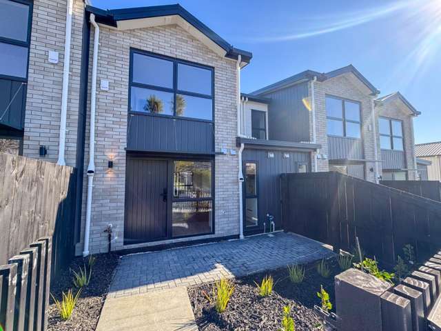 Brand new home in Mount Roskill