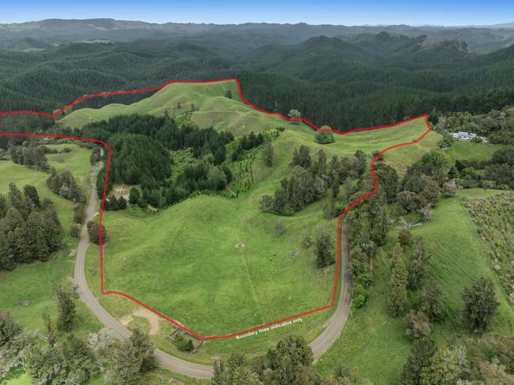 26 Settlement Road Pikowai_24