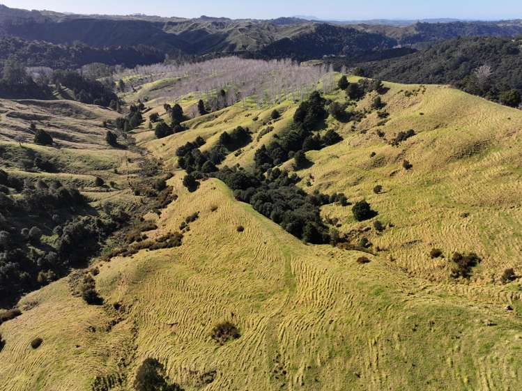 77 Remiger Road Puhoi_20