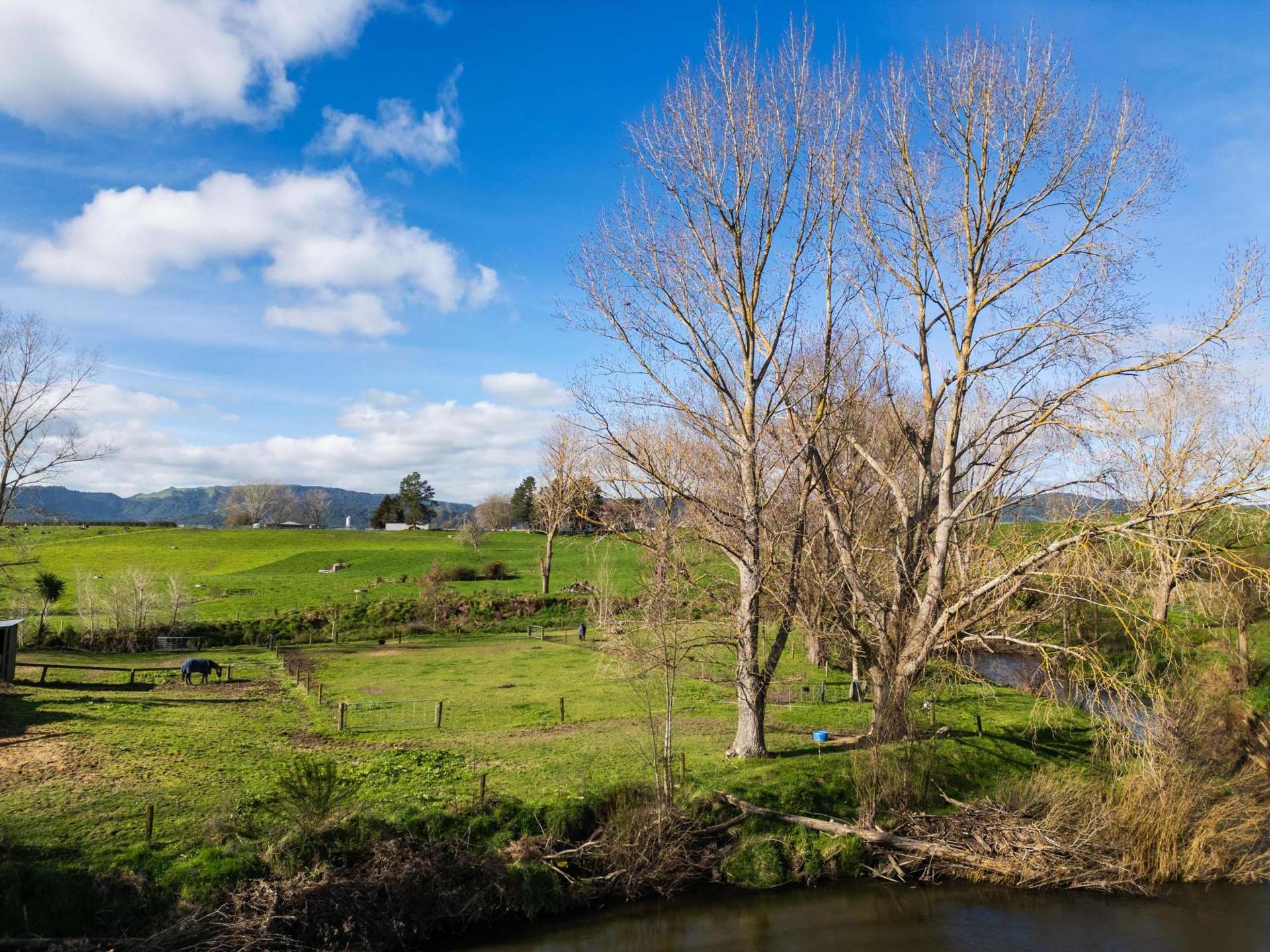 339a Te Poi South Road Matamata_0