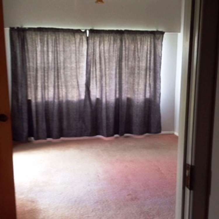 10 View Terrace Piopio_7