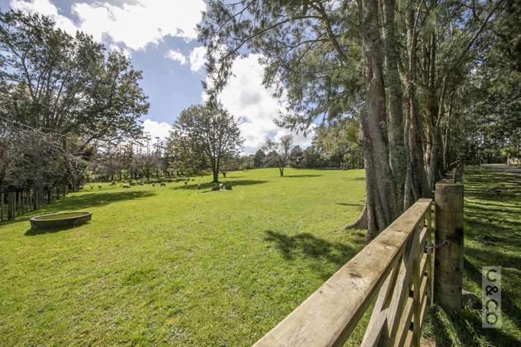 353 Taylor Road Helensville_24