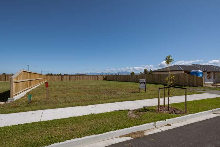 41 Wai Iti Avenue Redwoodtown_6