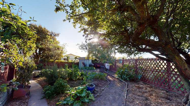 6 Williamson Place Allenton_10