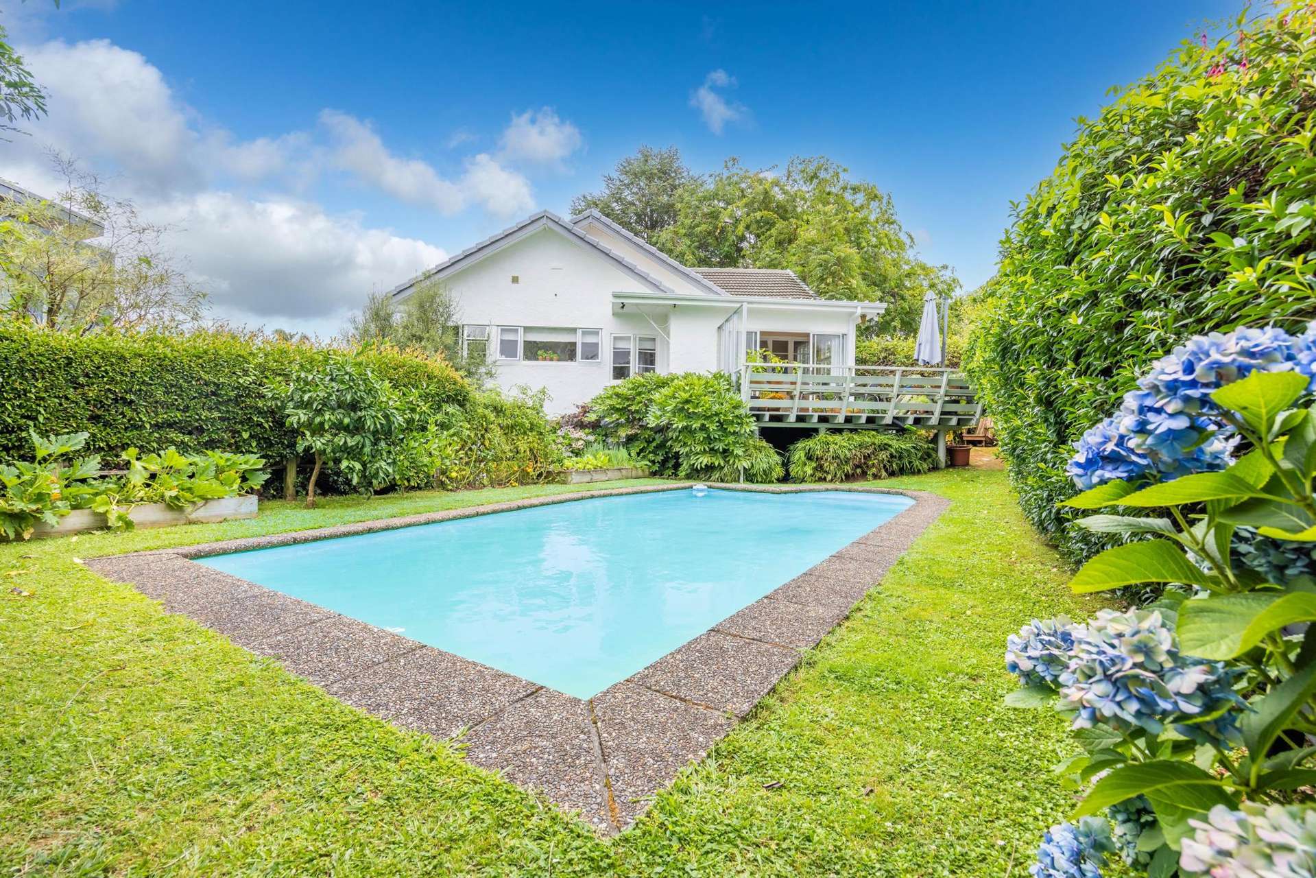 337 Wallace Terrace Te Awamutu_0