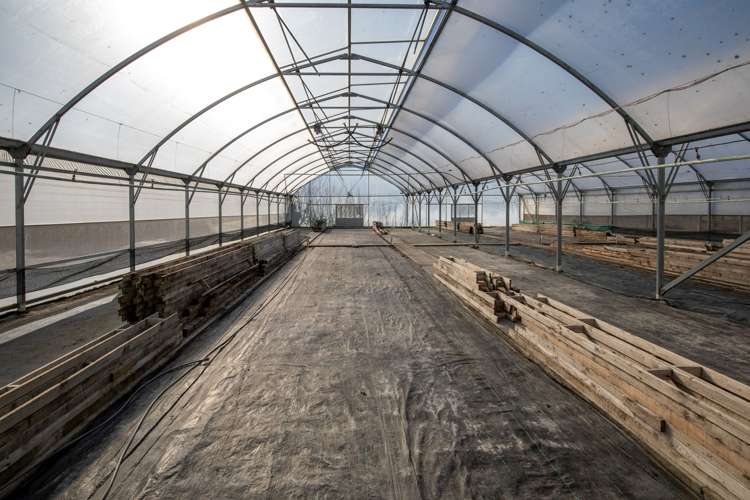 50 Barkers Road Kaiapoi_21