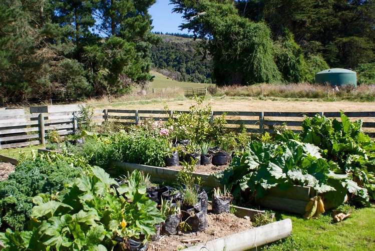 275 Mill Road Waimate_52