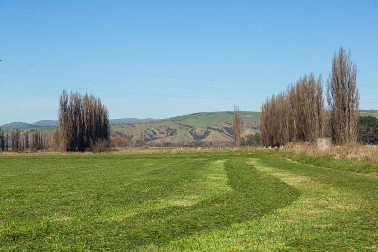 112 Ahikouka Road Greytown_30