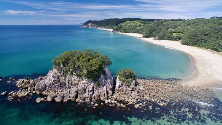 162f Whitipirorua Road Onemana_7