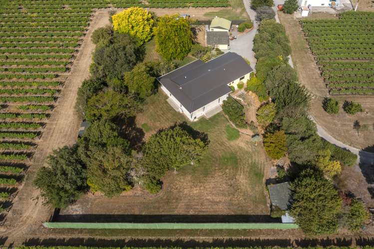 44 Rene Street Springlands_36