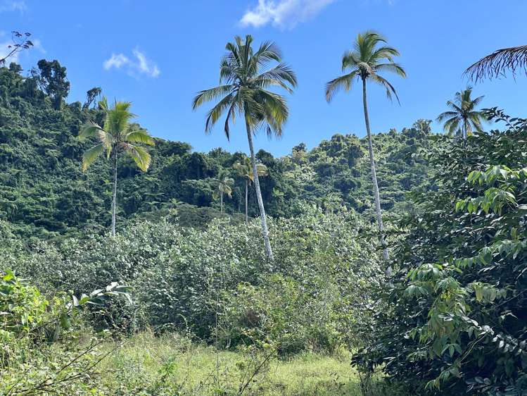 lot1,2,3,4 Belego Estate, Savusavu Vanua Levu_10