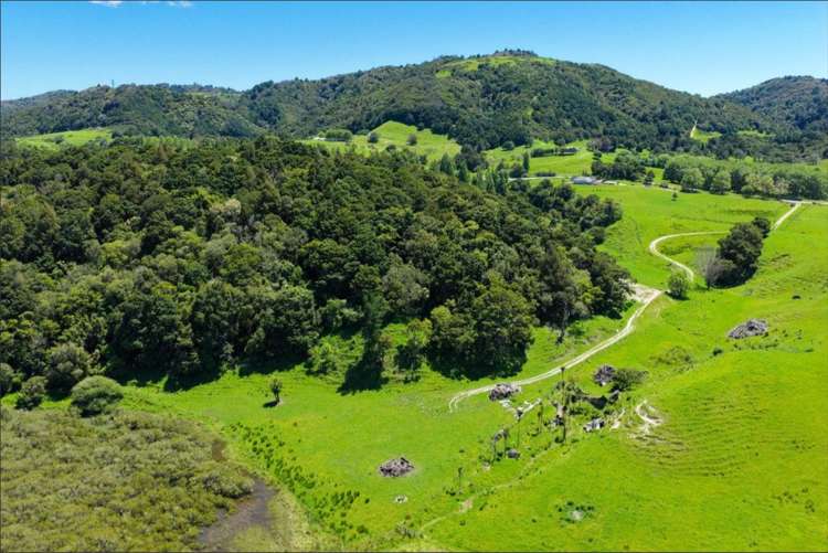 103 Mountain Road Kaiwaka_15