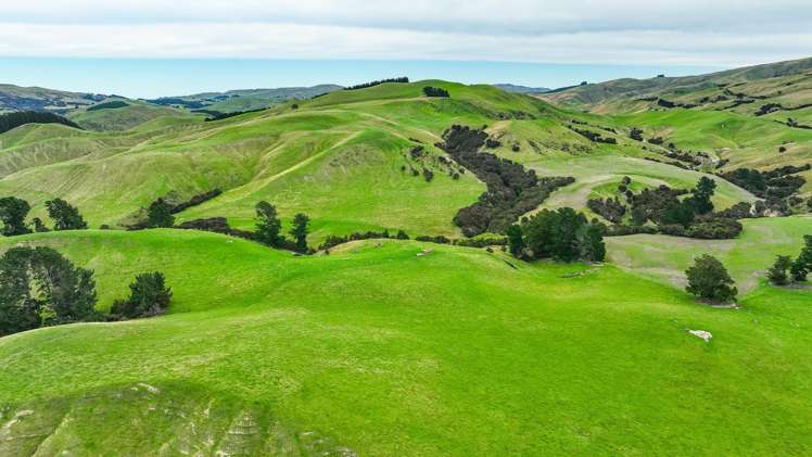 48 Heathfield Road Greta Valley_13