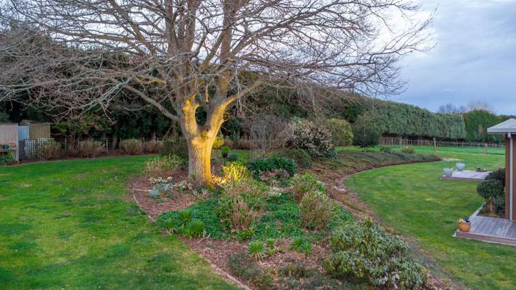 9 Belle Amie Drive Te Awamutu_28