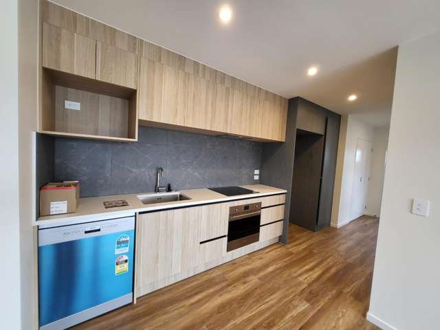 202/3 Newelm Lane Flat Bush_1