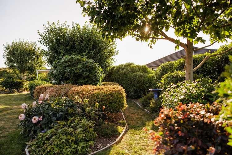 45 Alan Livingston Drive Cambridge_6