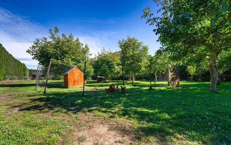 769 Tancreds Road Lincoln_26