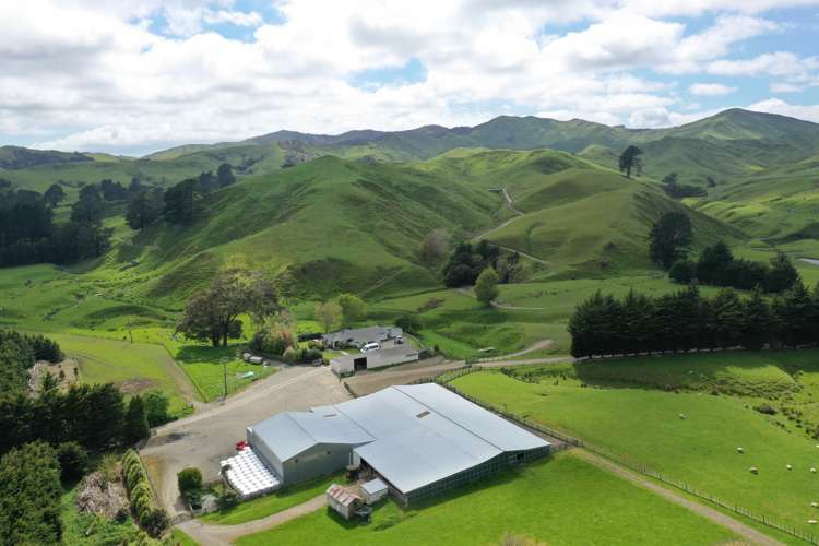 13151 Puketawa Road Tiraumea_19