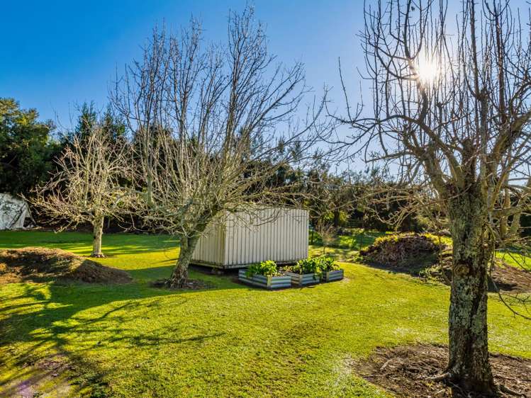 533 Wainui South Road Whakamarama_33
