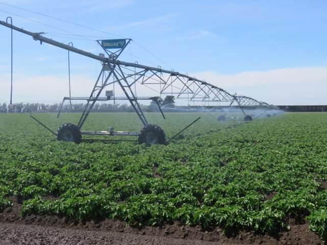 524 Rules Road Pendarves_1