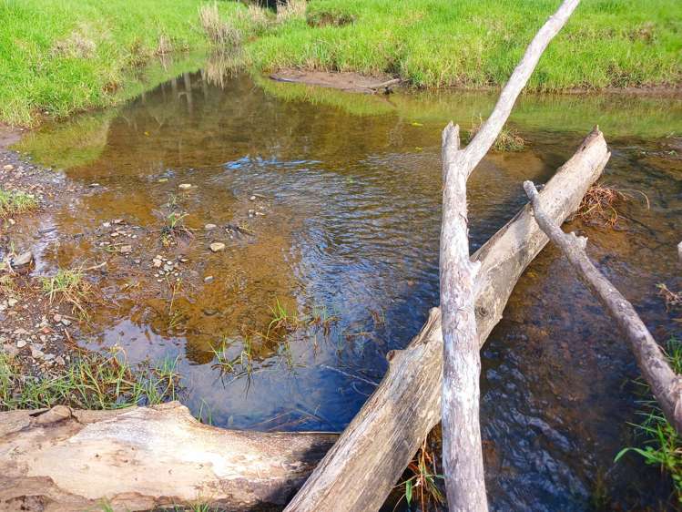 Larmer Road Kaitaia_13