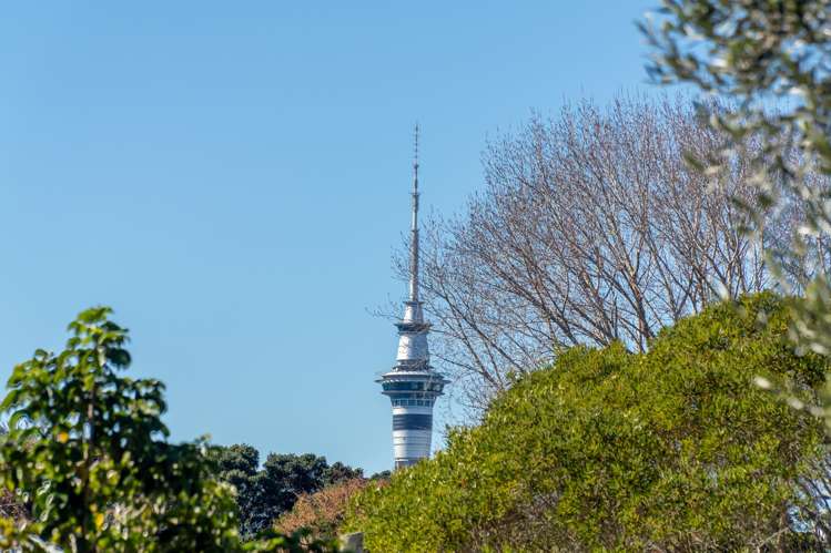 16 John Street Ponsonby_15