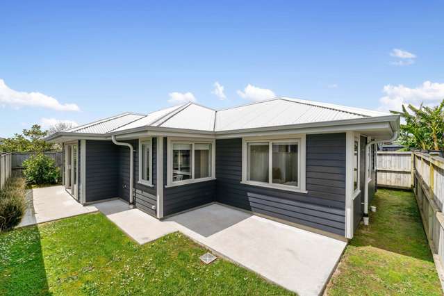 3 Kapia Street Pukekohe_2