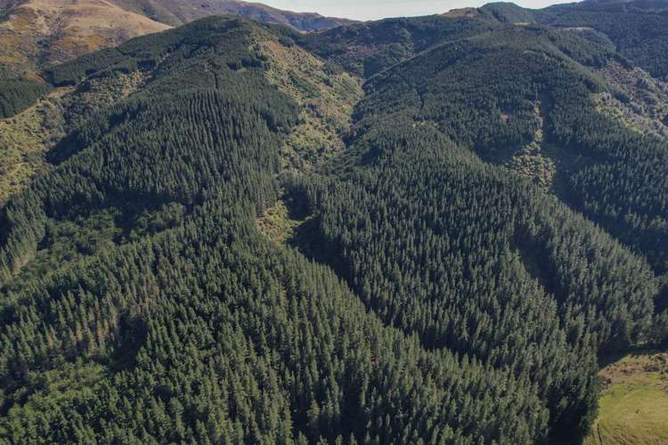 245 Sladdens Bush Road Oxford_9