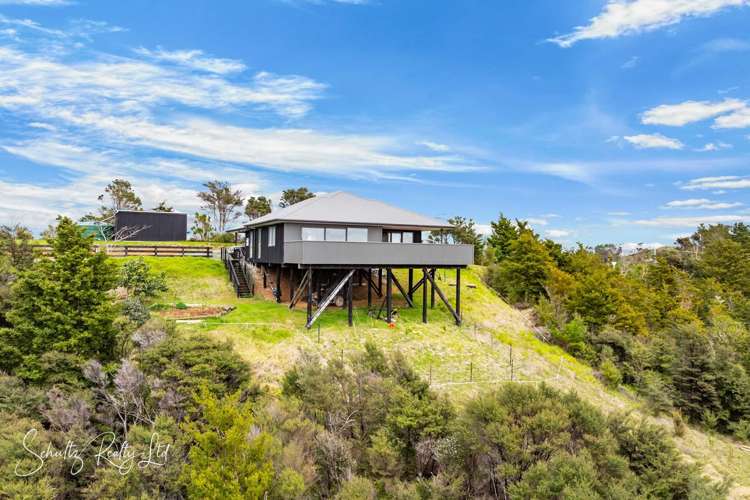 827 Tinopai Road Tinopai_31